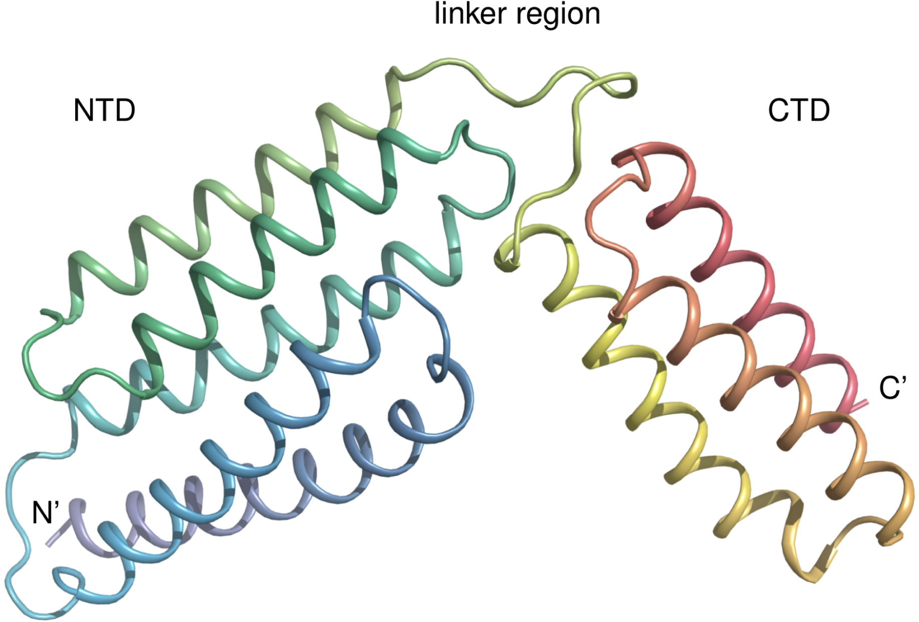 JBC：首次解析B型链球菌成孔蛋白CAMP因子晶体结构