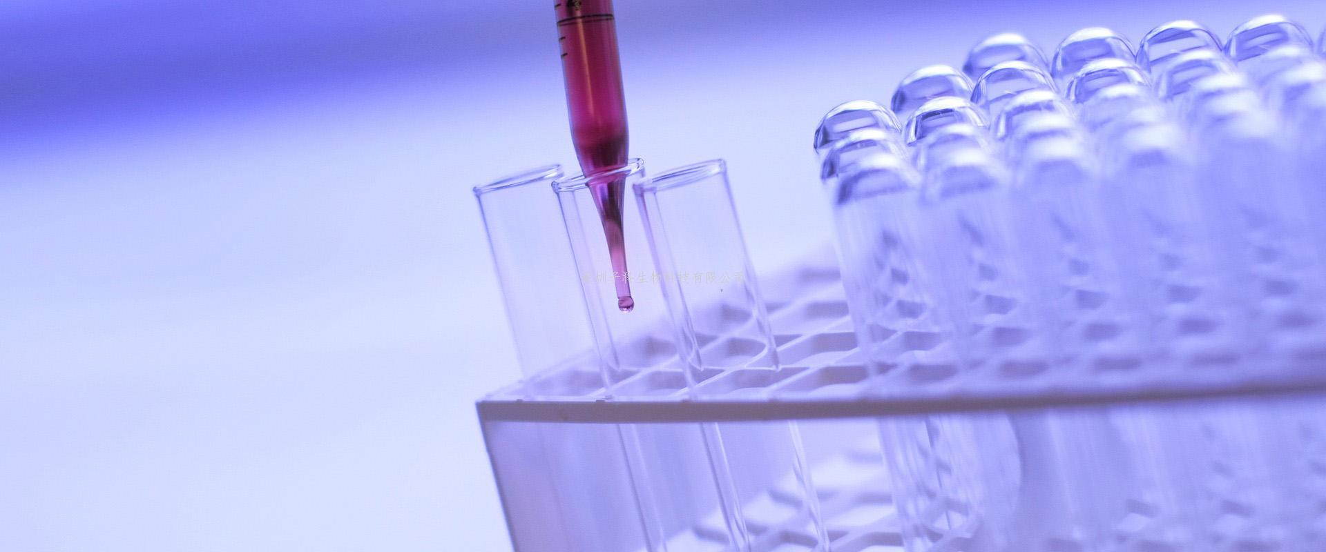 Cell子刊：首次发现黏连蛋白可以抑制初级合子基因激活相关基因的表达