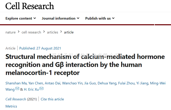Cell Res：黑素皮质素受体1钙离子介导激素识别的分子机制