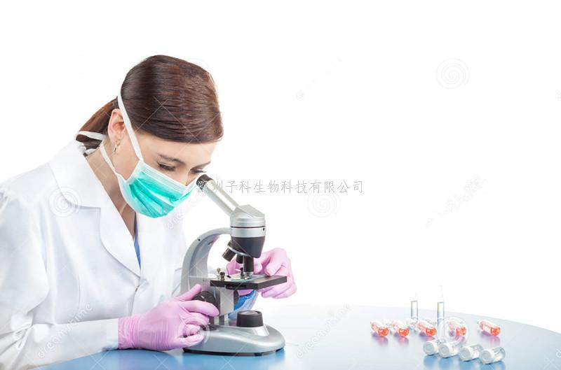 深圳大学团队发现参与心肌梗死后组织修复的重要分子