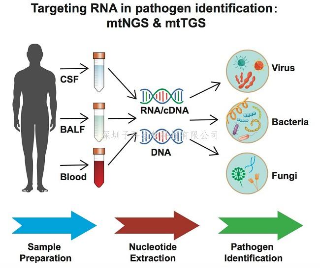 微生物所王军团队建立靶向RNA的病原检测新方法mtNGS和mtTGS