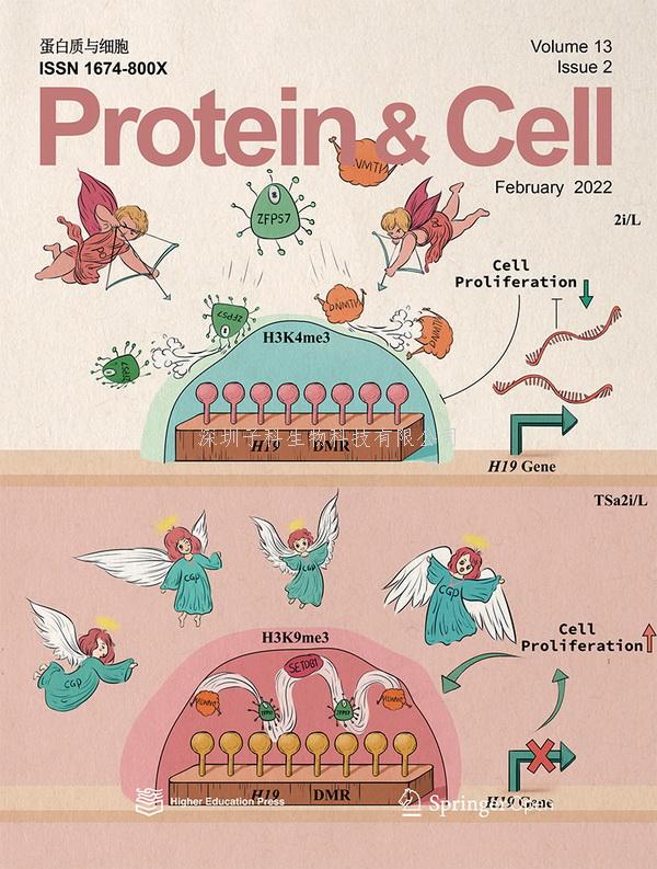 李劲松组建立父源印记表观修饰完整的类精子干细胞