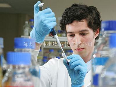 Nature Communications系统性揭示胰腺癌染色质开放性特征