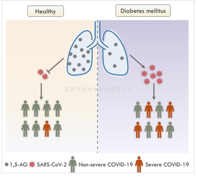 Nature Metabolism：一种血糖相关代谢小分子可有效阻抑新冠感染重症