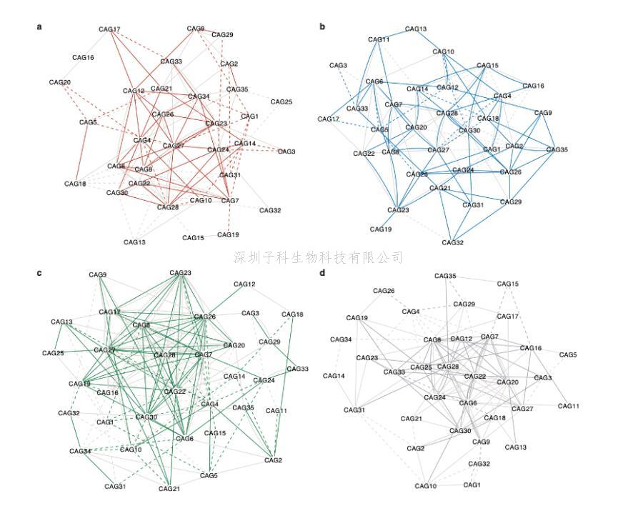 上海交大张晨虹团队合作研究系统性揭示运动及饮食干预脂肪肝的改善效果与个体肠道菌群网络的联系