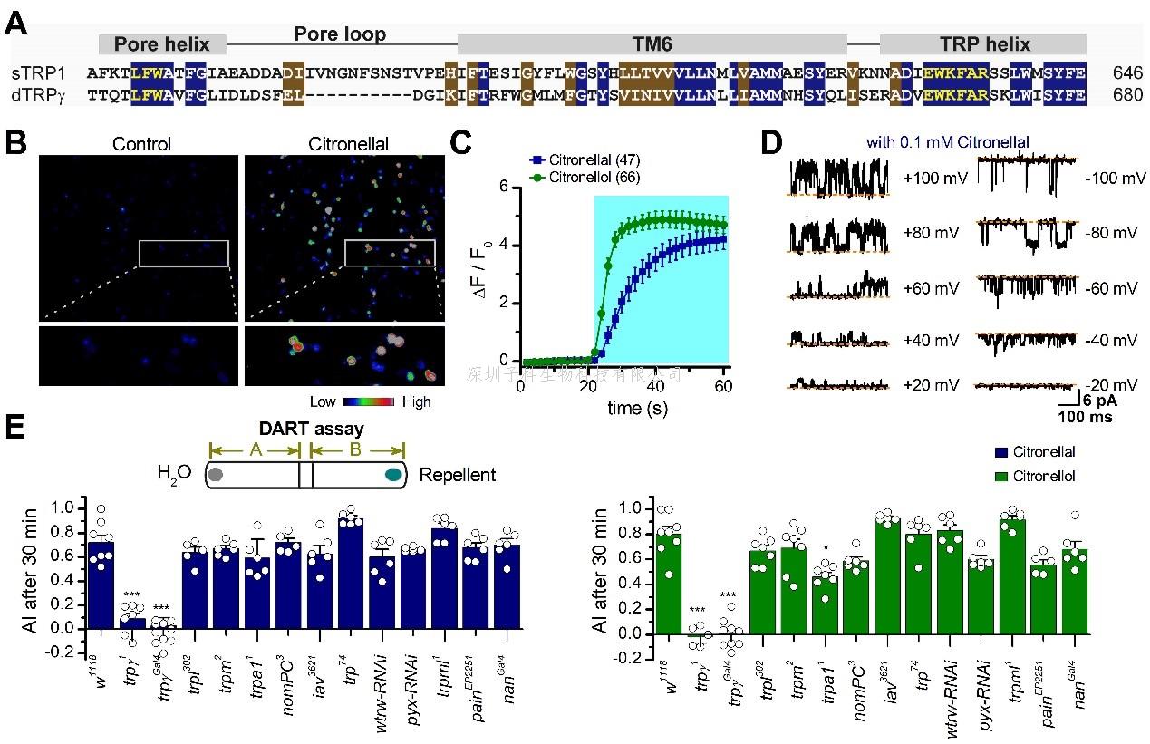 姚镜课题组在PNAS发文报道了TRP通道研究的新进展
