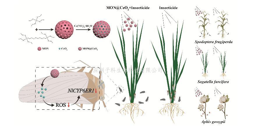 李建洪教授团队在害虫抗药性治理领域取得新进展