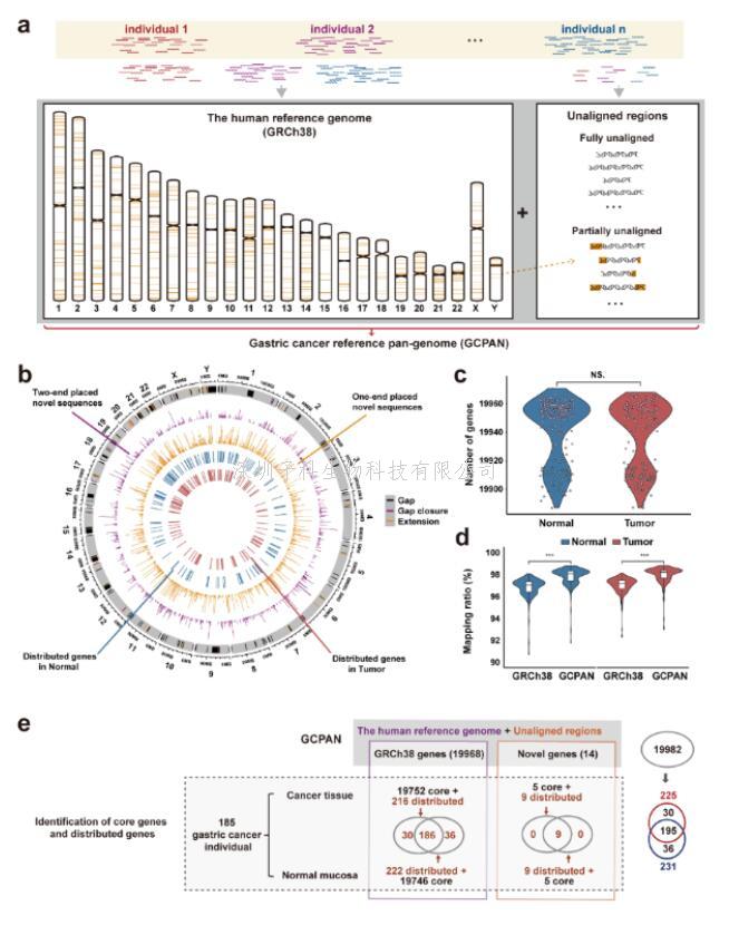 上海交大韦朝春团队合作完成胃肿瘤泛基因组研究