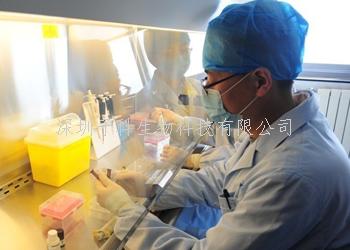 单细胞RNA-seq揭示癌症疼痛：神经元样巨噬细胞亚群与癌症疼痛相关