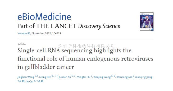 eBioMedicine | 崔杰团队应用单细胞转录组技术强调了人内源性逆转录病毒在胆囊癌中的潜在功能