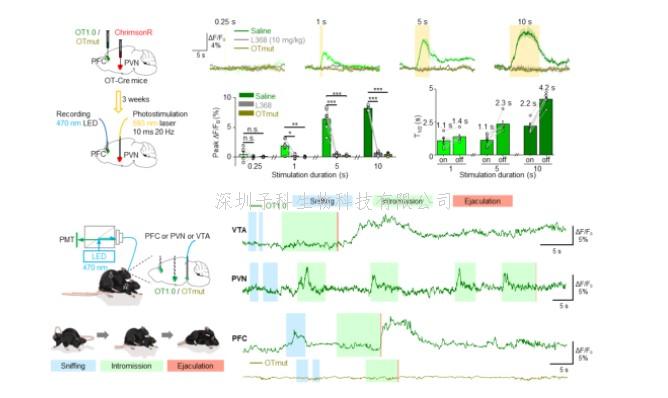 生命科学学院李毓龙实验室开发新型催产素荧光探针 揭秘神经肽的时空动态调控