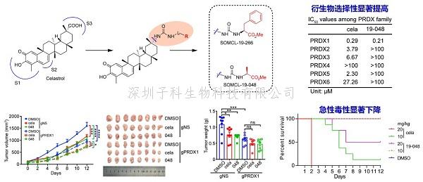 STTT | 上海药物所合作开发靶标发现新工具并用于雷公藤红素的靶标发现