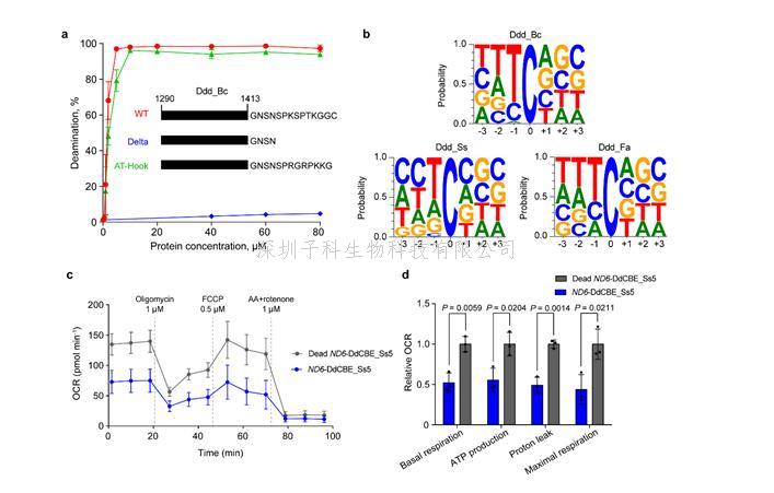 中国学者Nature子刊发布重要成果：新的线粒体碱基编辑器