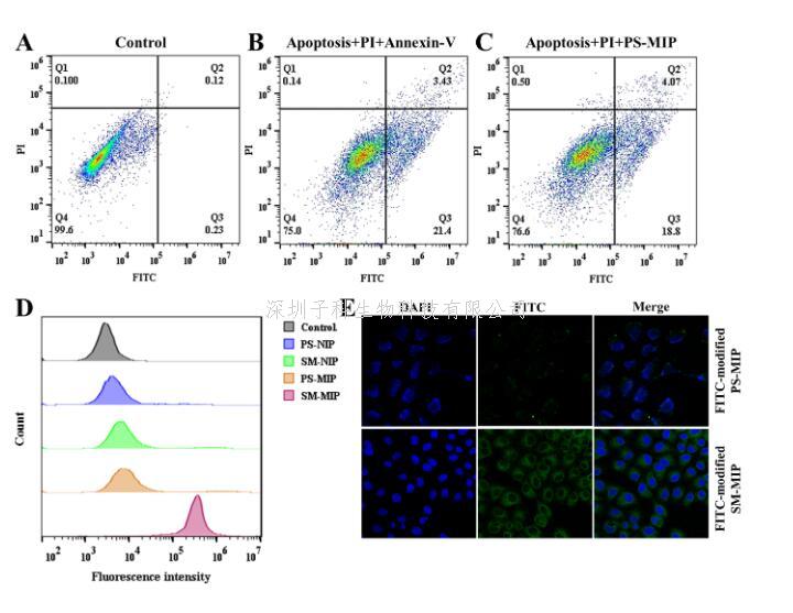 胡良海教授团队在外泌体与细胞质膜识别研究领域取得重要进展