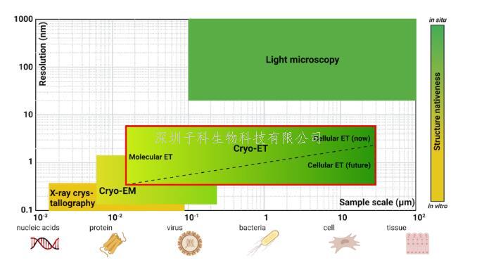 赛课题组总结cryo-ET的技术突破及其带来的分辨率革命