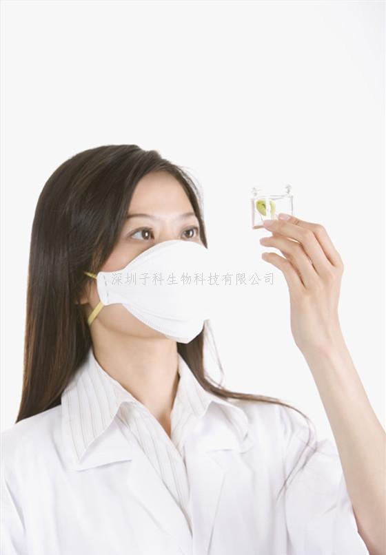 PRPF19 通过介导蛋白酶体降解维生素 D 受体（VDR）加重糖尿病肾病中铁死亡及小檗碱（BBR）的保护作用机制研究