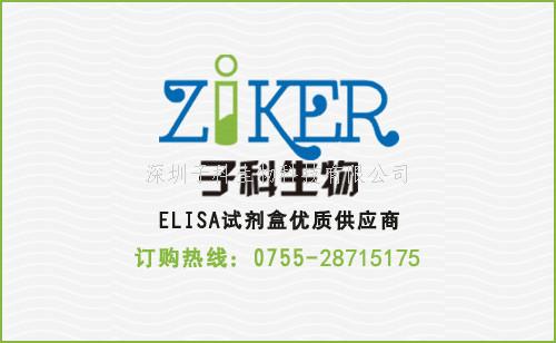 血管内皮生长因子受体2(VEGFR2)ELISA检测试剂盒