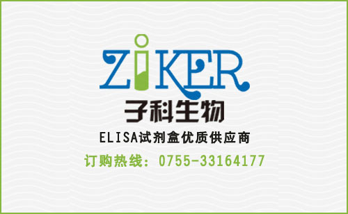 血管内皮抑素抗体（ES-Ab）ELISA检测试剂盒