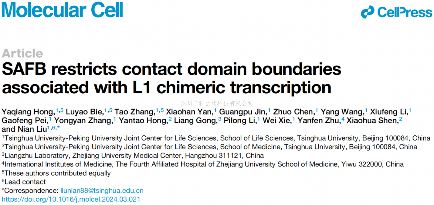 生命中心刘念团队揭示L1反转录转座子的转录活性调控染色质拓扑结构域边界的形成