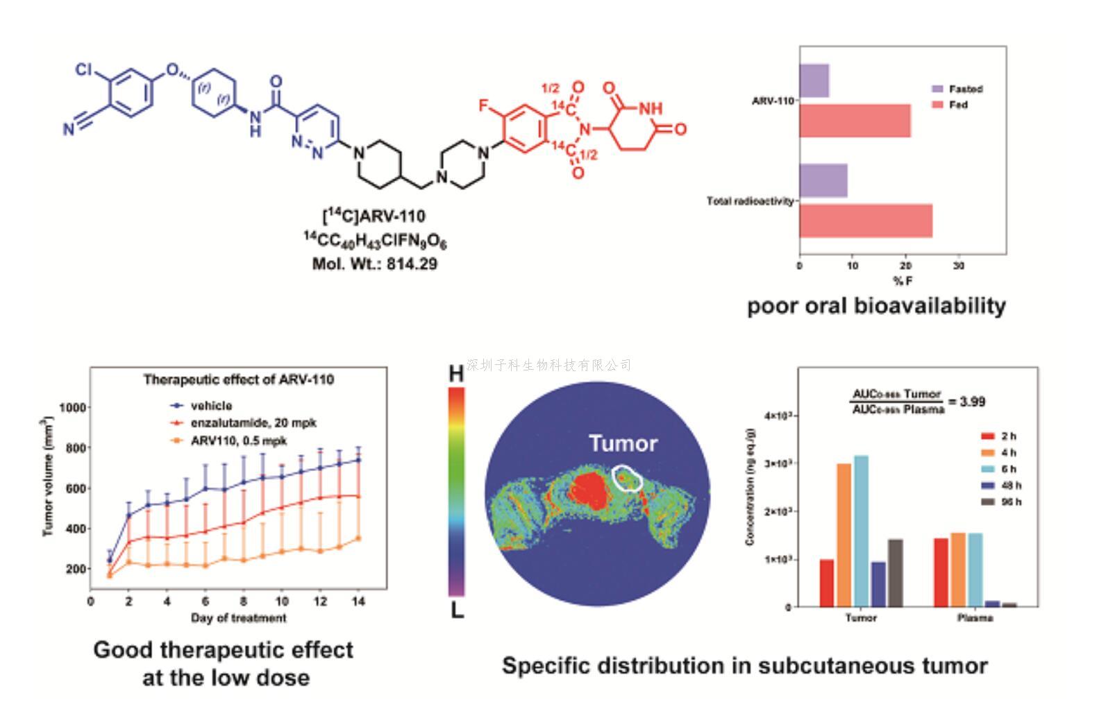 JMC封面 | 上海药物所揭示低生物利用度的PROTAC药物具有高成药性
