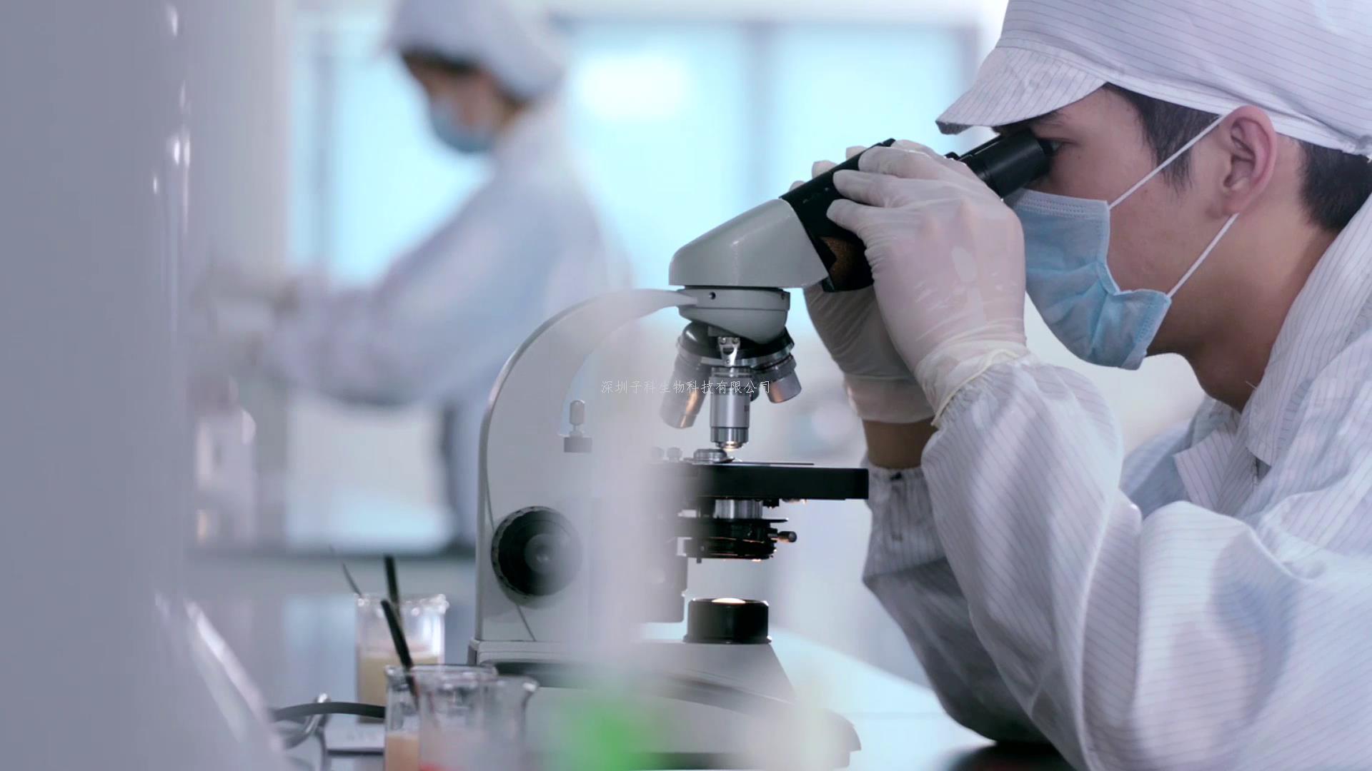 科学家们发现了导致脂肪肝疾病的炎症途径中的关键蛋白质