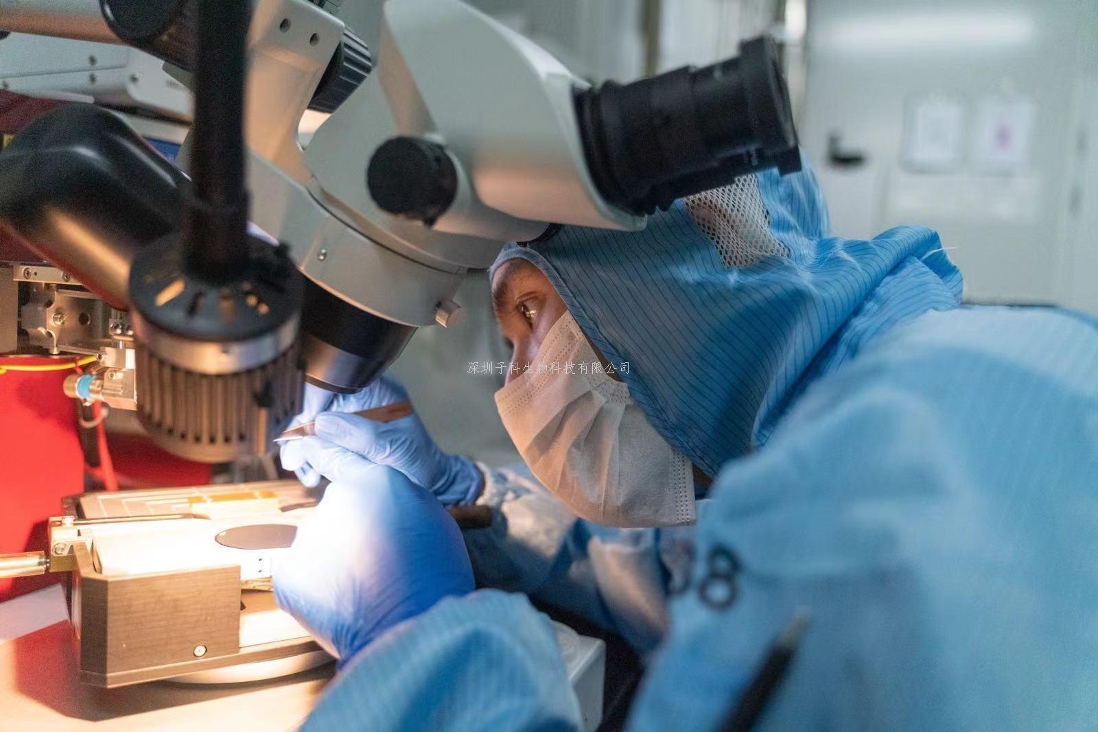 以前所未有的细节呈现GRB2和SOS1的新作用原理