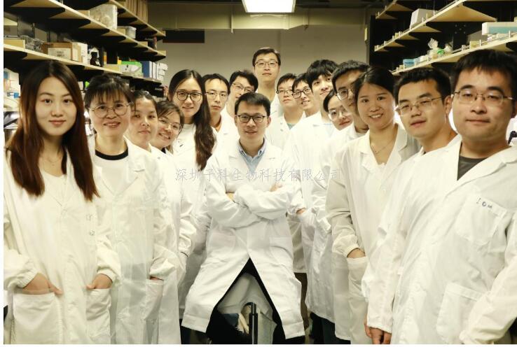 专家点评Nature | 胡政/贺雄雷/何真团队合作揭示早期肿瘤从多克隆至单克隆转变的演化新模式