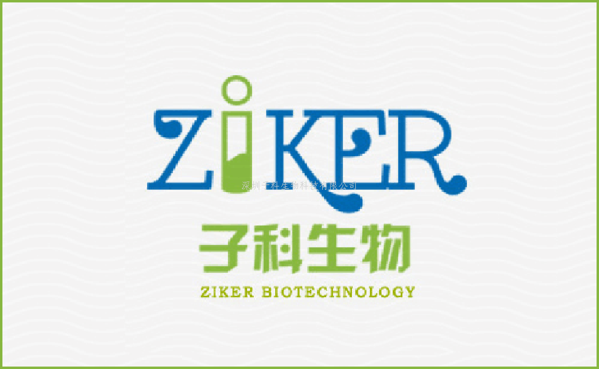 Click EdU-488细胞增殖检测试剂盒