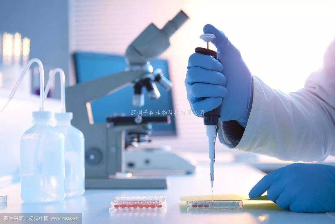 Science Advances发现一种新的细胞蛋白与甲型肝炎感染有关