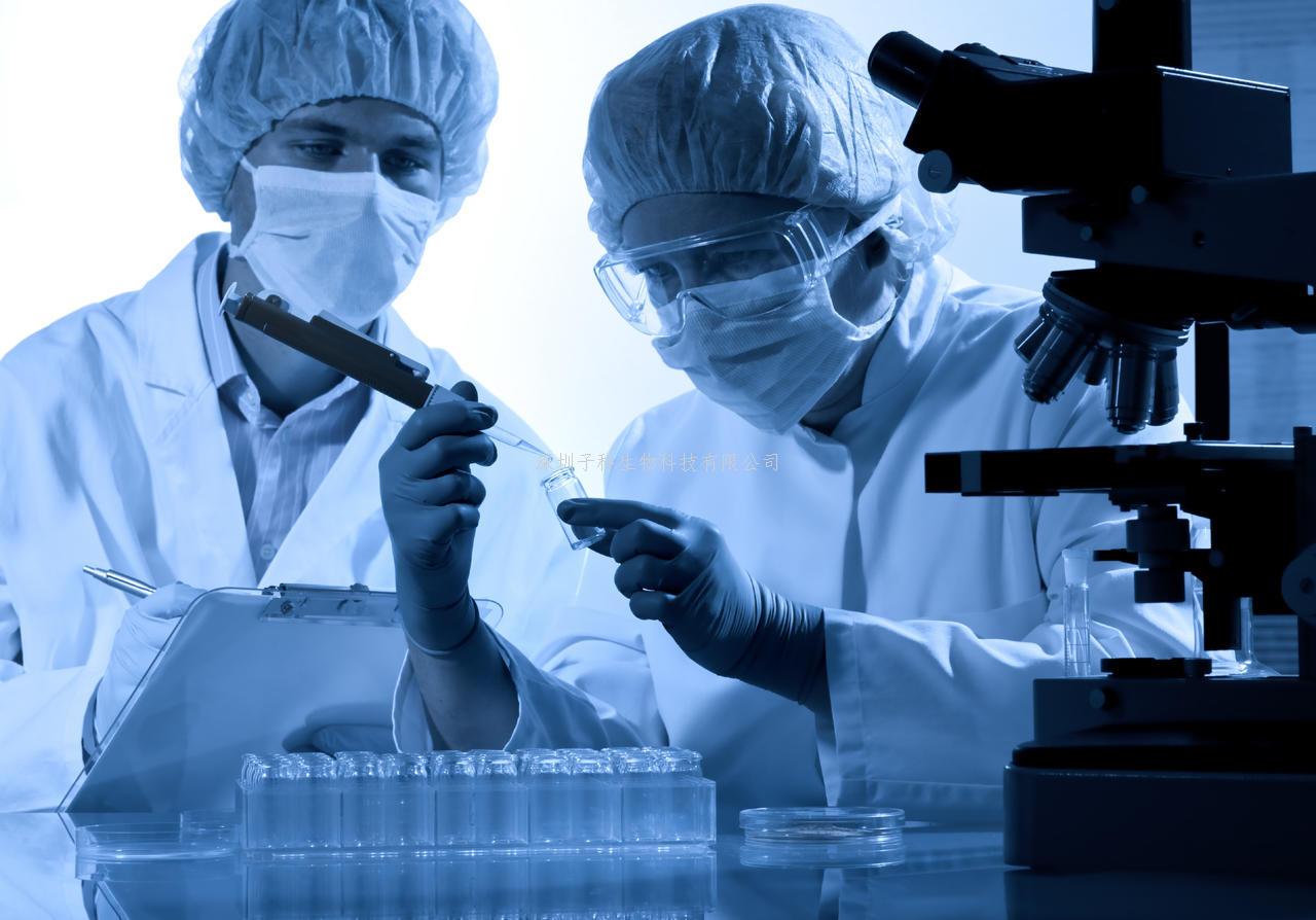 科学家们发现了脂肪细胞中的一种关键机制，可以保护身体免受能量过剩的影响