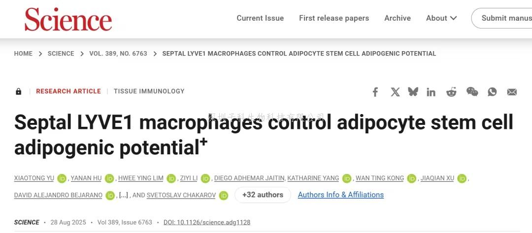 《科学》：上海交通大学团队发现促进白色脂肪生成的巨噬细胞亚群，TGFβ1或成抗肥胖靶点