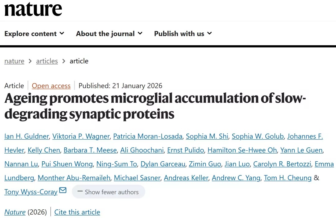 Cell：山东大学孙金鹏/于晓/杨帆团队等揭示 II 类嗅觉受体介导的脂肪酸气味识别机制