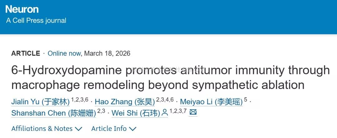 Neuron：从神经毒素到免疫调节剂，首都医科大学石玮团队揭示6-OHDA激活抗肿瘤免疫新机制