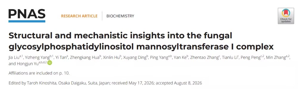 PNAS：于洪军/彭鹏团队合作揭示真菌GPI甘露糖基化机制并开发关键化学工具